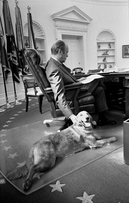 A1813-05 - President Ford and his golden retriever, Liberty, in the Oval Office. November 7, 1974.