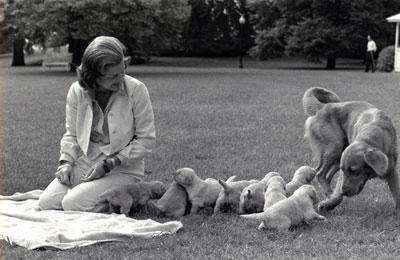 A6796-11. First Lady Betty Ford  and her pet golden retriever,  Liberty, watch over Liberty’s puppies on the South Lawn of the White House. October 5, 1975.