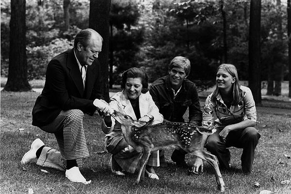 A0451-14. President Ford, Mrs. Ford, Steve and Susan feed "Flag" the deer at Camp David. September 1, 1974.
